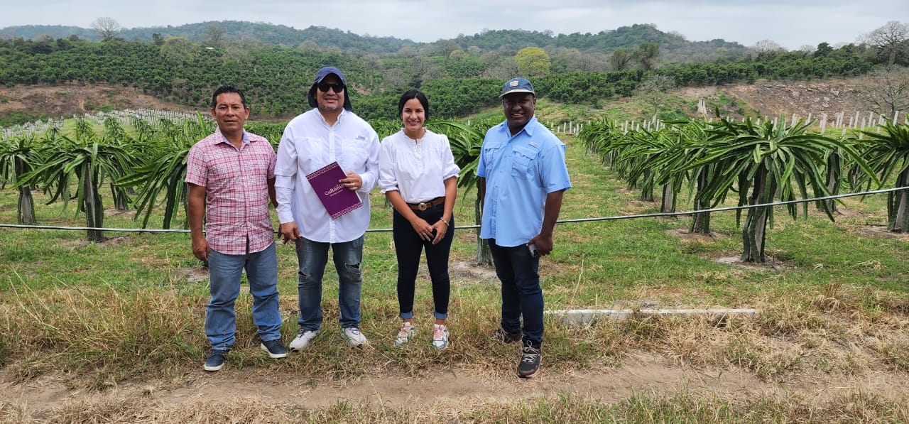 7cb19e3d-9373-45fd-840e-b994bbfb4c52