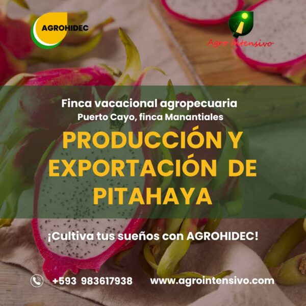 WhatsApp Image 2023-08-24 at 14.22.16