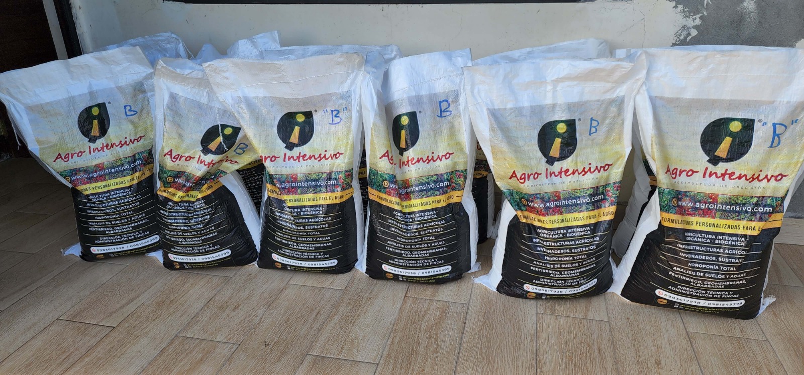 e2087bcd-ffa0-4591-bd53-d7c7feb290ba